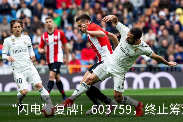 “闪电”复牌！603759，终止筹划重大事项