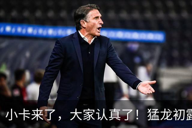 小卡来了，大家认真了！猛龙初露锋芒，三大数据印证东部霸主崛起