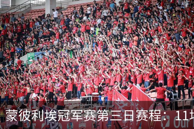 蒙彼利埃冠军赛第三日赛程：11场比赛，国乒参与4场，向鹏VS奥恰